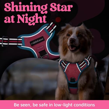 rabbitgoo Dog Harness Small Sized, No Pull Dog Vest with 3 Buckles, Adjustable Soft Padded Pet Harness with Easy Control Handle and Reflective Strips, Rose Pink & Blue, S - color: Rose Pink & Blue, size: Small