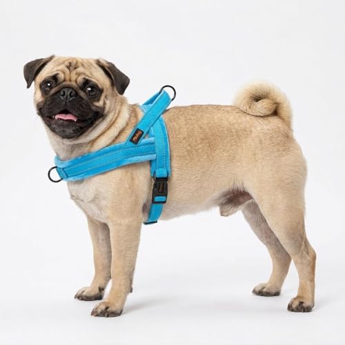 Didog Soft Flannel Padded Dog Vest Harness, No Pull/Quick Fit Reflective Dog Strap Harness, Easy for Training Walking (S:Chest 18-22", Blue) - color: Blue, size: S:chest 18-22"