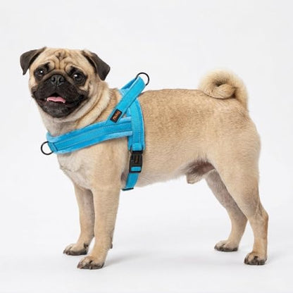 Didog Soft Flannel Padded Dog Vest Harness, No Pull/Quick Fit Reflective Dog Strap Harness, Easy for Training Walking (S:Chest 18-22", Blue) - color: Blue, size: S:chest 18-22"