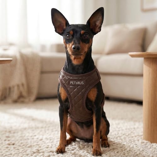 Step in Dog Cat Harness Choke Free Escape Proof Pet Vest Quilted Vegan Leather Breathable Mesh Padded for Small Medium Dogs (Chocolate Brown, Medium) - color: Chocolate Brown, size: Medium: Neck=10-12.5''/Chest=16-18''