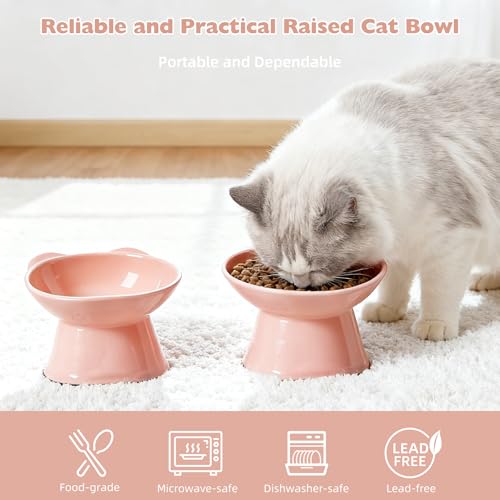 KSIA Klear Elevated Cat Bowls 2 Pack, Tilted Raised Cat Bowl for Food and Water, 4.72" Wide, Whisker Friendly Anti Vomit for Indoor Cats, Microwave and Dishwasher Safe, Pink - color: Pink
