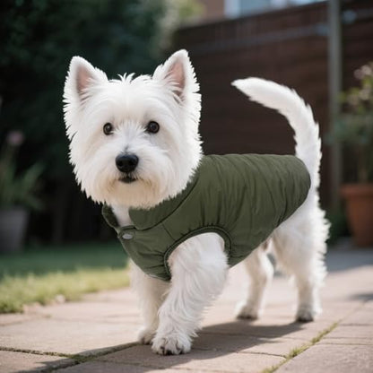 ASENKU Windproof Dog Winter Coat Waterproof Fleece Jacket Cold Weather Pet Apparel for Small Medium Large Dogs (ArmyGreen, XS) - color: Armygreen, size: X-Small