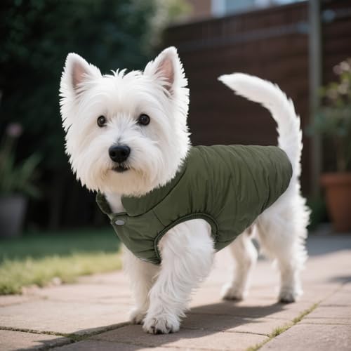 ASENKU Windproof Dog Winter Coat Waterproof Fleece Jacket Cold Weather Pet Apparel for Small Medium Large Dogs (ArmyGreen, L) - color: Armygreen, size: Large