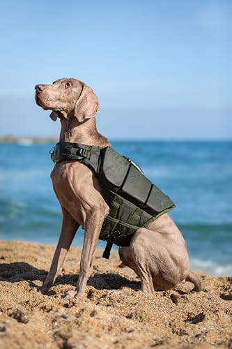 NOAH & PAW Dog Life Jacket, Human Standards Lifejacket Design, Dog Life Vest for Swimming and Boating, 3X Foam Support for Max Floating, Breathable Mesh, Salvavidas para Perros, Size M - size: M