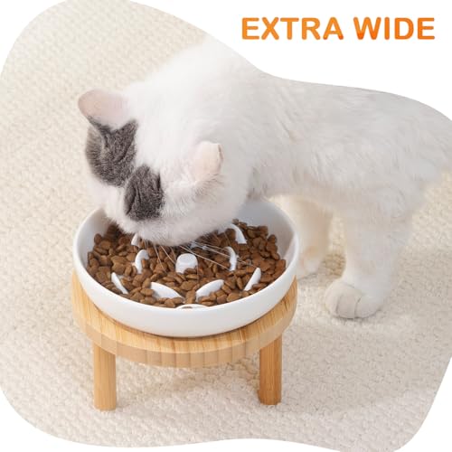 Raised Slow Feeder Cat Bowl, 5.9 Inch Wide Shallow Ceramic Elevated Glass Food Bowl Puzzle Feeders, Anti Vomit Cat Dish, Whisker Friendly Pet Plates Feeding Station for Indoor Cats, Kitten(2 Set) - size: 1 Slow Feeder & 1 Cat Plate