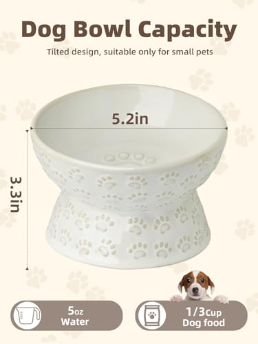 GDCZ Elevated Ceramic Puppy Bowl, 5 Oz Raised and Tilted Water Bowl, Pet Bowl for Small Dog, Fat Faced Cat, Kitten (White) - color: White