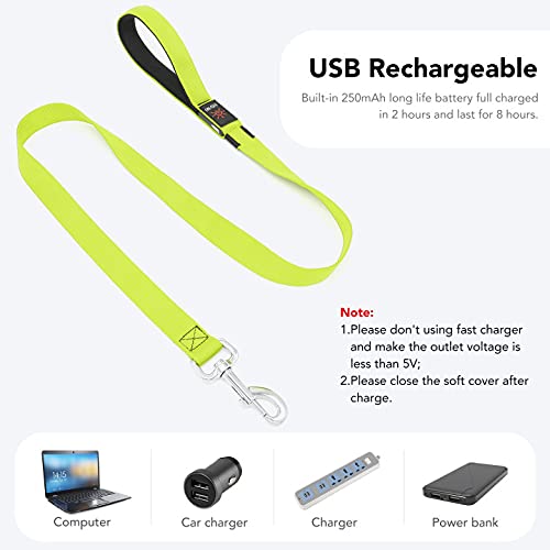Colaseeme Light Up Dog Leash, LED Pet Leashes USB Rechargeable, Glow Safety Dogs Lights at Night (4FT,Green) - color: Green, size: 4FT