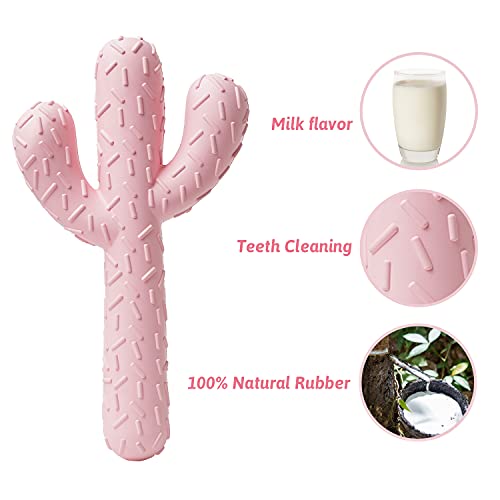 MewaJump Dog Chew Toys, Tough Rubber Dog Toys for Aggressive Chewers, Cactus Dog Toy for Training and Cleaning Teeth, Pink Cute Dog Toys for Medium/Large Dog - color: Pink Cactus