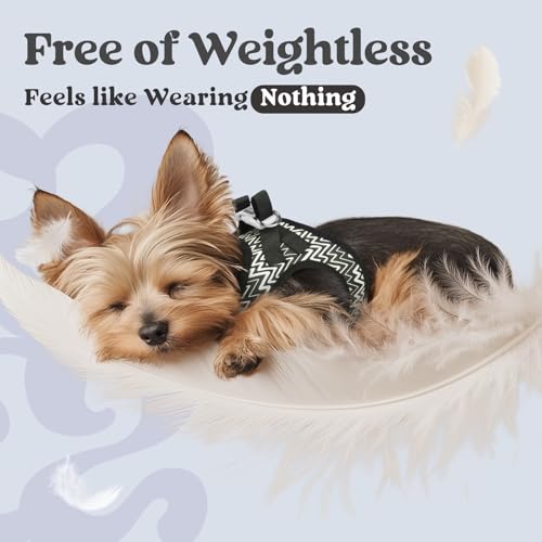 rabbitgoo Small Dog Harness, Step-in Soft Mesh Puppy Vest with Safety Buckle, Breathable Reflective Pet Harness for Small Sized Dogs, Black Zigzag XXS - color: Black Zigzag, size: Xxs(chest:12.4"-14.2")