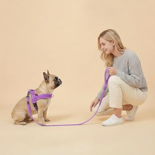 Didog Soft Flannel Padded Dog Vest Harness, No Pull/Quick Fit Reflective Dog Strap Harness, Easy for Training Walking (XS:Chest 15-18", Purple) - color: Purple, size: XS:chest 15-18"