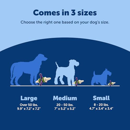 PetSafe Busy Buddy Jack - Treat Holding Dog Chew Toys - Helps Clean Teeth - Vanilla Scented Rubber for Strong Chewers - Treat Refills Included, Interactive Dog Toy Helps Keep Dogs Busy, Purple, Medium - size: Medium, style: Treat Holding Jack