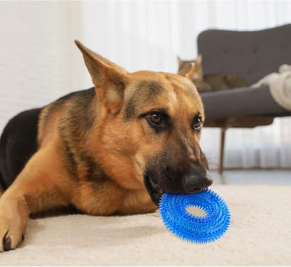 Andiker Squeaky Dog Toy, Safe TPR Chewable Dog Toys for Teeth Grinding&Cleaning Dog Fetch Toys for Enhancing Interactivity Outdoor Suitable for All Dog Sizes Puppy’s and Dogs (Large Blue) - size: Large Blue
