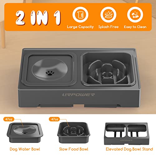 URPOWER 2-in-1 Elevated Slow Feeder Dog Bowls with No-Spill Water Bowl, 4 Height-Adjustable Raised Dog Bowls, Non-Slip Food and Water Bowls with Stand for Small, Medium, Large Dogs, Cats and Pets - color: Grey, size: Slow Feeder