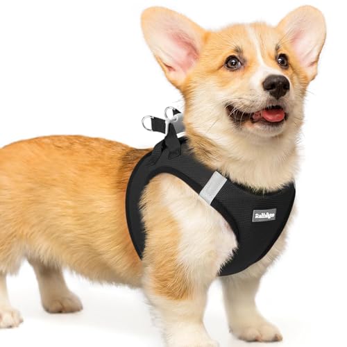 rabbitgoo Small Dog Harness, Step-in Soft Mesh Puppy Vest with Safety Buckle, Breathable Reflective Pet Harness for Small Medium Dogs, Black L - color: Black, size: L(chest:18.2"-20.5")