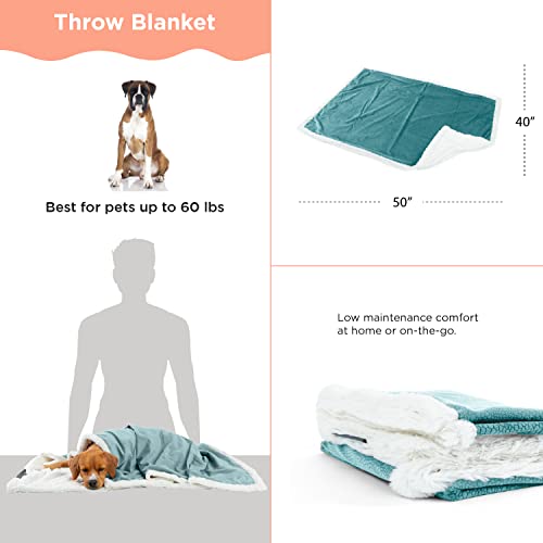 Best Friends by Sheri Premium Self-Warming Ilan Microfiber Faux Fur Pet Throw Blanket 40x50 in Tide Pool - color: Tide Pool