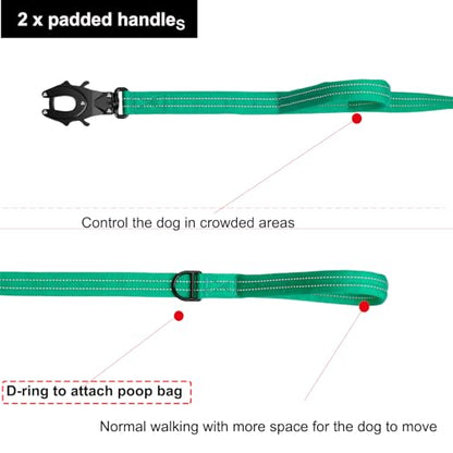 ICEFANG Relfective Dog Leash for Medium Large Dogs,K9 Training Walking Lead with Double Handle,Heavy Duty Auto-Lock Metal Clasp (6ft, Teal) - color: Teal, size: 6 ft (No bungee)