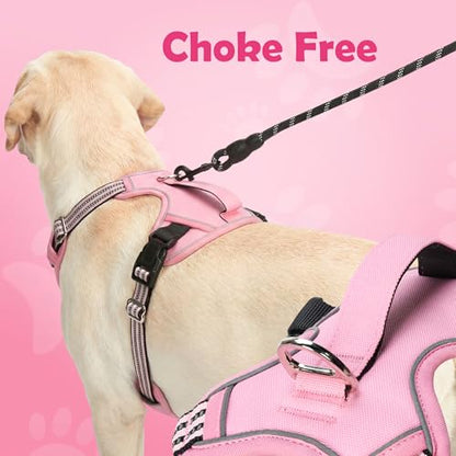 Funfox Dog Harness No Pull, Adjustable Pet Vest Harness, Super Soft Material with Vertical Handle Easy Control, Reflective Night Walking, 2 Leash Clips for Small Sized Dogs, Pink, S - color: Pink, size: Small