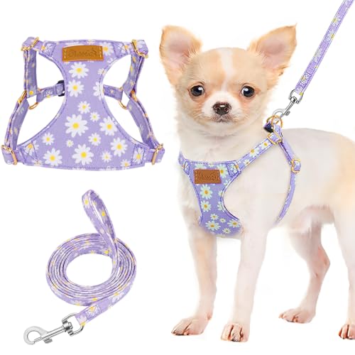 Lukovee Puppy Harness and Leash Set, No Pull Lightweight Soft Suede Adjustable Pet Harness Vest with Snap Buckle for Puppy Small and Medium Size Dog (Purple-XS) - color: Purple Daisy, size: X-Small ( 5.5-11lb )