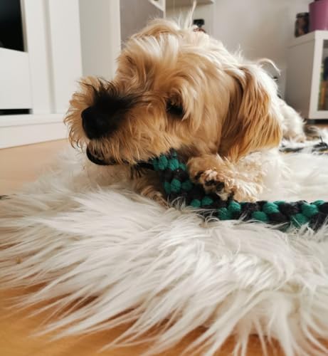 Upgraded Interactive Dog Toys - Extendable Flirt Pole Teaser Wand with Braided Rope Chewing Tugs and Squeaky Plush Chase Toy for Dog Puppy Outdoor Entertainment, Train and Exercise - color: Black-102