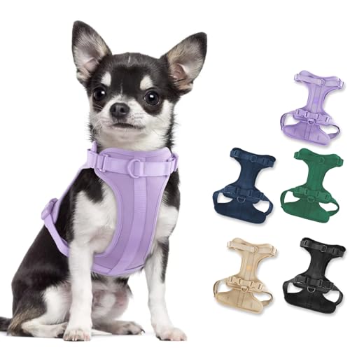 No Pull Lightweight Dog Harness: Adjustable Breathable Pet Vest Harness with Soft & Comfortable Cushion for Small Medium Large Dogs (XS, Lilac) - color: Lilac, size: XS:Neck=10"-12"/Chest=13"-16"