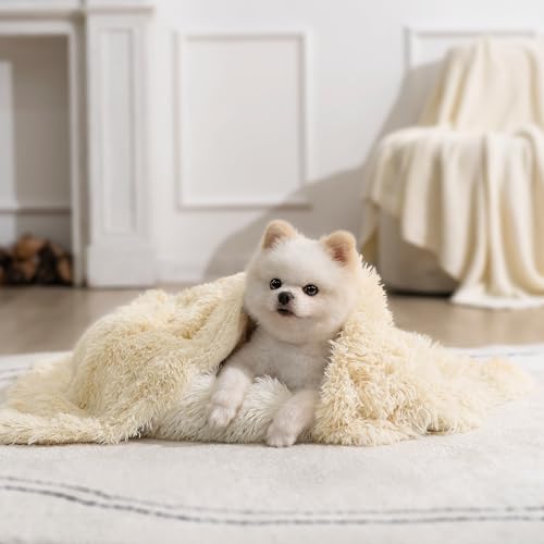 gogobunny Waterproof Dog Blanket for Couch & Furniture Protection - Super Soft Reversible Throw for Large Dogs & Cats, Calming Washable Fur & Sherpa Pet Blanket (25x35 Inch, Beige) - color: Beige, size: 25x35 Inch (Pack of 1)