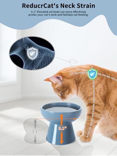 LoeJan Elevated Cat Food and Water Bowls Set, Extra Wide and Raised Ceramic Feeder, Anti-Vomit Whisker-Free Pressure Feeding Bowl for Kittens Adult Small Dogs (Deep Blue) - color: Deep Blue, size: Single (Water Bowl)