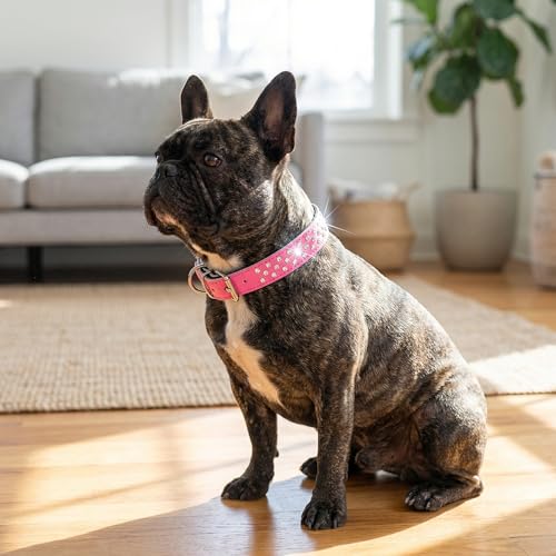 Rhinestones Dog Collar, Adjustable Sparkly Crystal Studded Genuine Leather Pet Dog Collar for Small and Medium Dogs (M, Pink) - color: Pink, size: M
