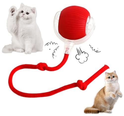 Interactive Rolling Cat Ball - 360°Automatic Chew Toy for Active Cats, Rolling Small Dog Cat Toys,Smart Automatic Fast Rolling Pet Ball - cat Toys (Blue)