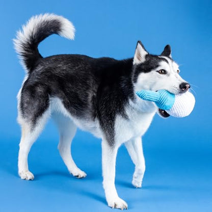 Fringe Studio Plush Dog Toy, Today is TEE-RIFFIC, Pet Shop Collection (314241) - color: Today Is Tee-Riffic