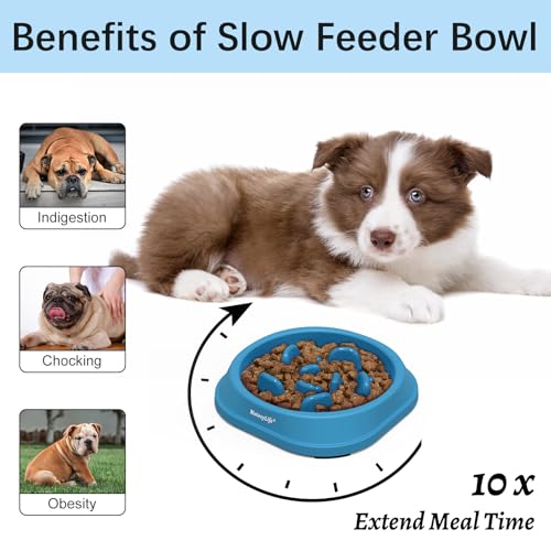 MateeyLife Small Slow Feeder Cat Bowls 2PCS, Anti-Choking Puzzle Cat Food Bowls, Anti-Slip Interactive Dog Feeding Slow Down Eating, Bloat Stop Maze Dishes Dog Feeder for Small Breeds 1 Cup - color: A-LightBlue&DarkBlue, size: Small