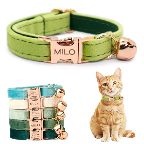 Personalized Non-Breakaway Cat Collar with Name, Luxury Soft Velvet Custom Engraved Name Collar with Bell for Kittens & Cats (Avocado Green, S (6.5-10.5 inches)) - color: Avocado Green, size: S (6.5-10.5 inches)