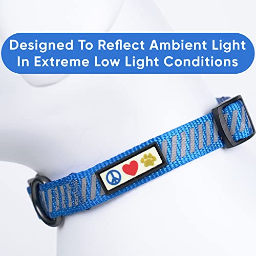 Pawtitas Reflective Dog Collar Reflective Thread Reflective Dog Collar Personalized Name Phone Number Adjustable Collar for Small Dogs Extra Small Puppy Blue Dog Collar Extra Small Breeds - color: Customized Blue, size: X-Small (Pack of 1)