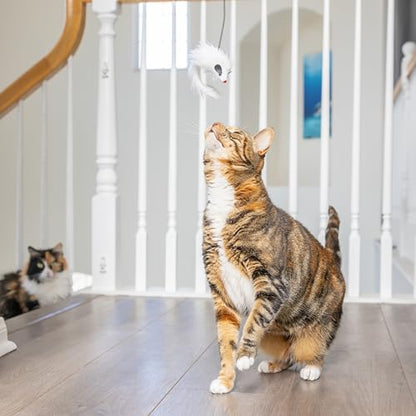 SPOT A-Door-Able Bouncing Mouse Cat Toy - Hanging Rattle & Catnip Interactive Toy, Entertain Cats for Hours, Indulge Natural Hunting Instincts, Provide Mental Stimulation, Suspend From Any Door Frame