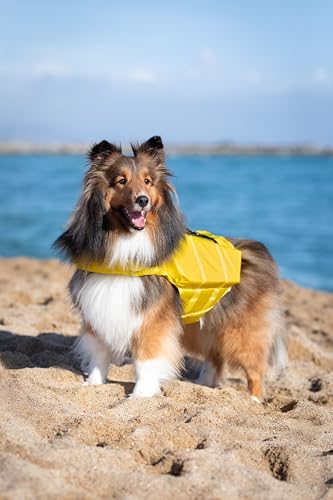 NOAH & PAW Dog Life Jacket, Human Standards Lifejacket Design, Dog Life Vest for Swimming and Boating, 3X Foam Support for Max Floating, Breathable Mesh, Salvavidas para Perros, Size M - size: M