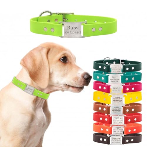 dogIDs Personalized Dog Collar – ScruffTag Custom Waterproof Biothane Dog Collar with Laser-Engraved Name, Durable & Odor-Resistant – USA Made | Margarita, 1 in x 16 in (Fits Neck Sizes 14-18 in) - color: Margarita, size: 1 in x 16 in (Fits Neck Sizes 14-