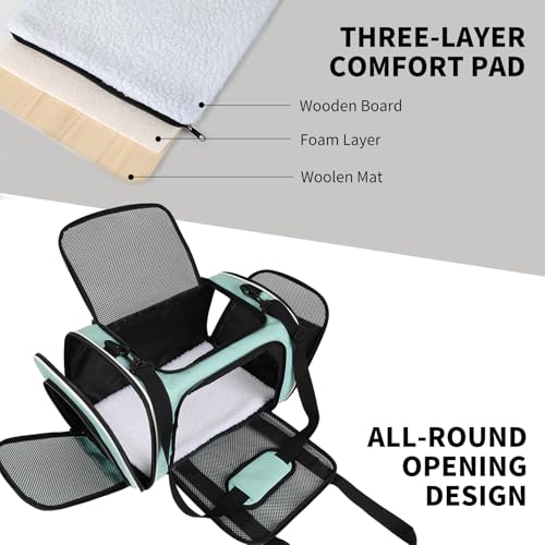 Cat Dog Carriers Soft-Sided, Pet Travel Carrier for Small Cats Dogs Under to15lbs, Soft-Solid Collapsible Carrier,(Medium,Green) - color: green, size: 17.0"L x 11.0"W x 11.0"H