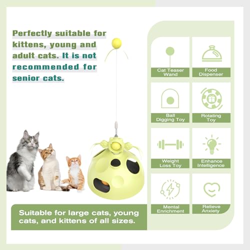 Sedioso Cat Toy, 4-in-1 Cat Interactive Toys for Indoor Cats, Hide and Seek Cats Toys, Spinning Toy and Kitty Food Dispenser Feeder Treat Dispensing Feeding Toy (Green)