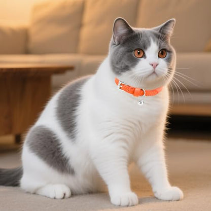 PUPTECK 2 PCS Soft Genuine Leather Cat Kitten Collar with Bells Adjustable for Girl Boy Cats Puppy - Orange, Purple - color: Orange&Purple
