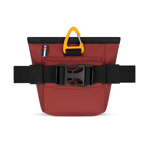 OllyDog Goodie Treat Bag, Dog Treat Pouch, Waist Belt Clip for Hands-Free Training, Magnetic Closure, Dog Training and Behavior Aids, Three Ways to Wear (Cider) - color: Cider