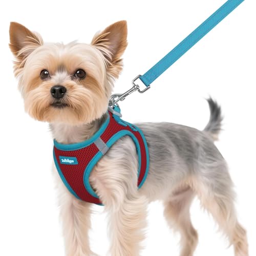 rabbitgoo Dog Harness Small Sized and Leash Set, Step-in Breathable Pet Harness, Soft Walking Reflective Puppy Vest for Small Dogs, Red & Teal, XS - color: Red & Teal, size: XS (Chest: 13.3 - 15.5")