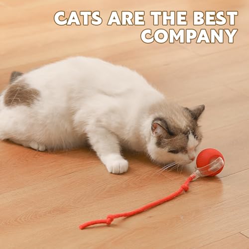 Chewie Viral 360 Smart Automatic Rolling Pet Ball (3 PCS) - Interactive Dog & Cat Toy - color: 3 PCS