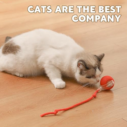 Chewie Viral Rolling Pet Ball, Interactive Cat & Dog Toy, 360 Smart Automatic Rolling Ball (Grey) - color: grey
