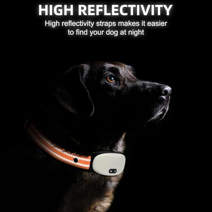 Collar Replacement Strap, Reflective Replacement Nylon Collar Strap Dog GPS Training Bark Receiver Collars, Durable Adjustable E Collar Straps for Small Medium Large Dogs, Orange - color: Orange