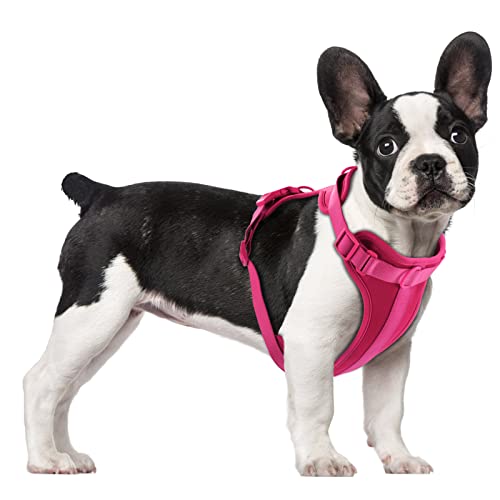 No Pull Lightweight Dog Harness: Adjustable Breathable Pet Vest Harness with Soft & Comfortable Cushion for Small Medium Large Dogs (Medium, Peacock Pink) - color: Rose Violet, size: M:Neck=11.81"-18.11"/Chest=18.11"-27.95"