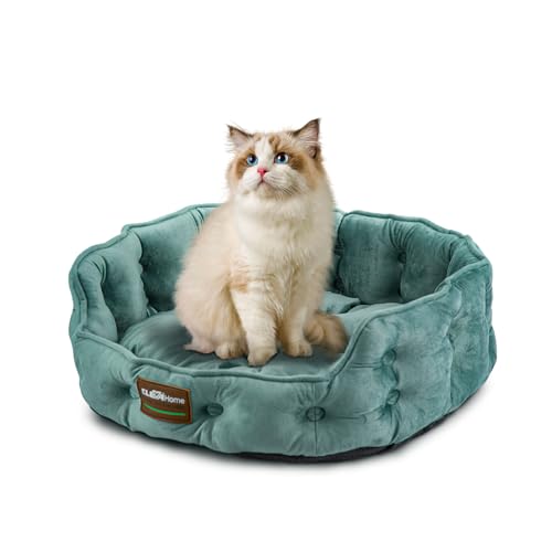 ClevaHome Cat Dog Bed for Small Pets up to 15lbs - Round Cat Beds for Indoor Cats, Machine Washable Comfortable Pet Bed for Puppy and Kitten with Non-Slip Bottom (Washed Green) - color: Washed Green, size: 20"L x 19"W x 6"Th