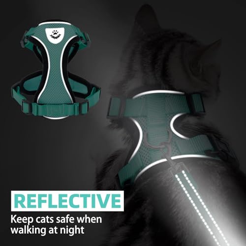 PUPTECK Cat Harness and Leash Set Escape Proof Reflective Cat Walking Harness Adjustable Soft Breathable Mesh Vest for Small Pets, Aquamarine, S - color: Aquamarine, size: S (NECK 9.5"-11", CHEST 13"-16")