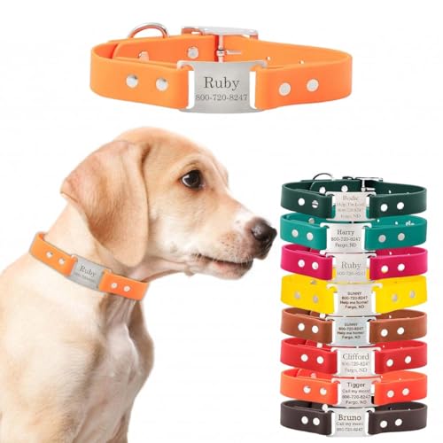 dogIDs Personalized Dog Collar – ScruffTag Custom Waterproof Biothane Dog Collar with Laser-Engraved Name, Durable & Odor-Resistant – USA Made | Creamsicle, 1 in x 16 in (Fits Neck Sizes 14-18 in) - color: Creamsicle, size: 1 in x 16 in (Fits Neck Sizes 1