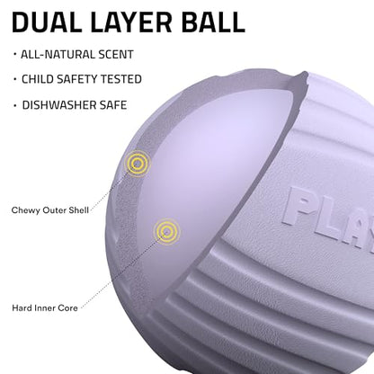 Playology Dog Toys | Dual Layer Ball Durable Chew Toy for Tough Chewers | Lamb Scented Medium Dog Toy | Chew Toys for Dogs - size: Medium, style: Lamb