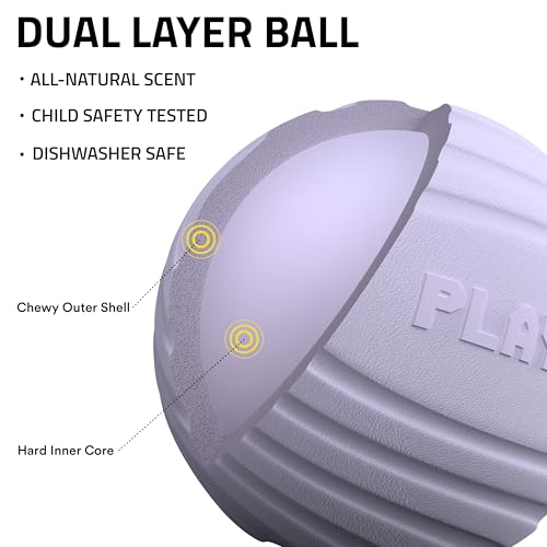 Playology Dog Toys | Dual Layer Ball Durable Chew Toy for Tough Chewers | Lamb Scented Jumbo Dog Toy | Chew Toys for Large Dogs - size: Jumbo, style: Lamb