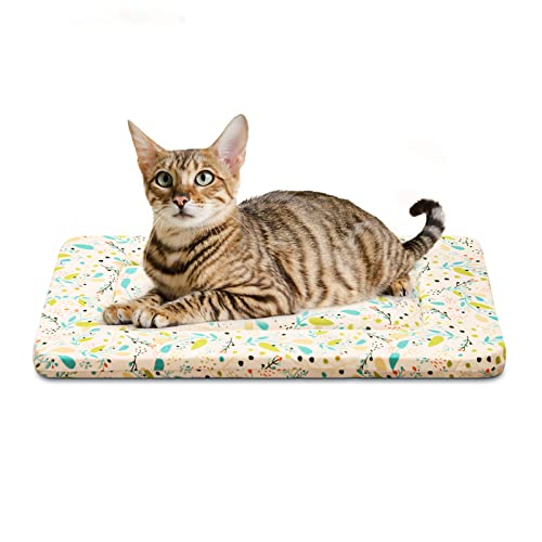 X-Small Crate Bed Pad - Super Soft Pancake Style Mat for Kennels, Ideal for Pet Beds, Machine Wash and Dryer Friendly, 22-Inch, Random Color